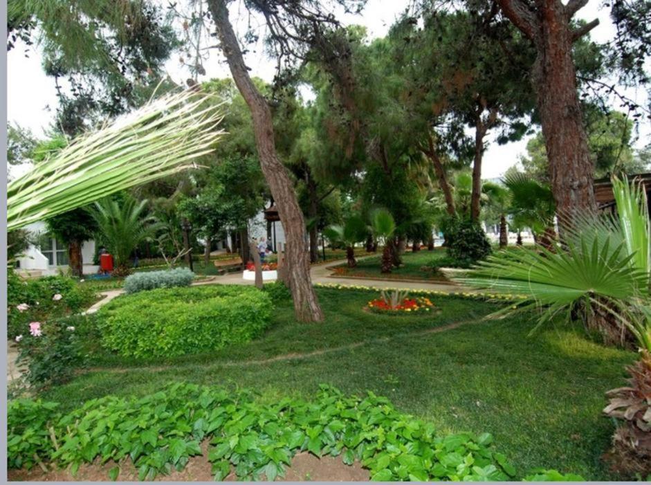 Luca Beach Hotel Side Kültér fotó